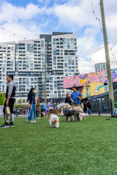 Bark Yard