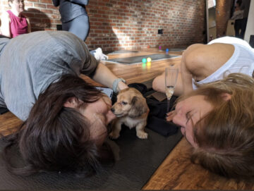 Puppy Yoga
