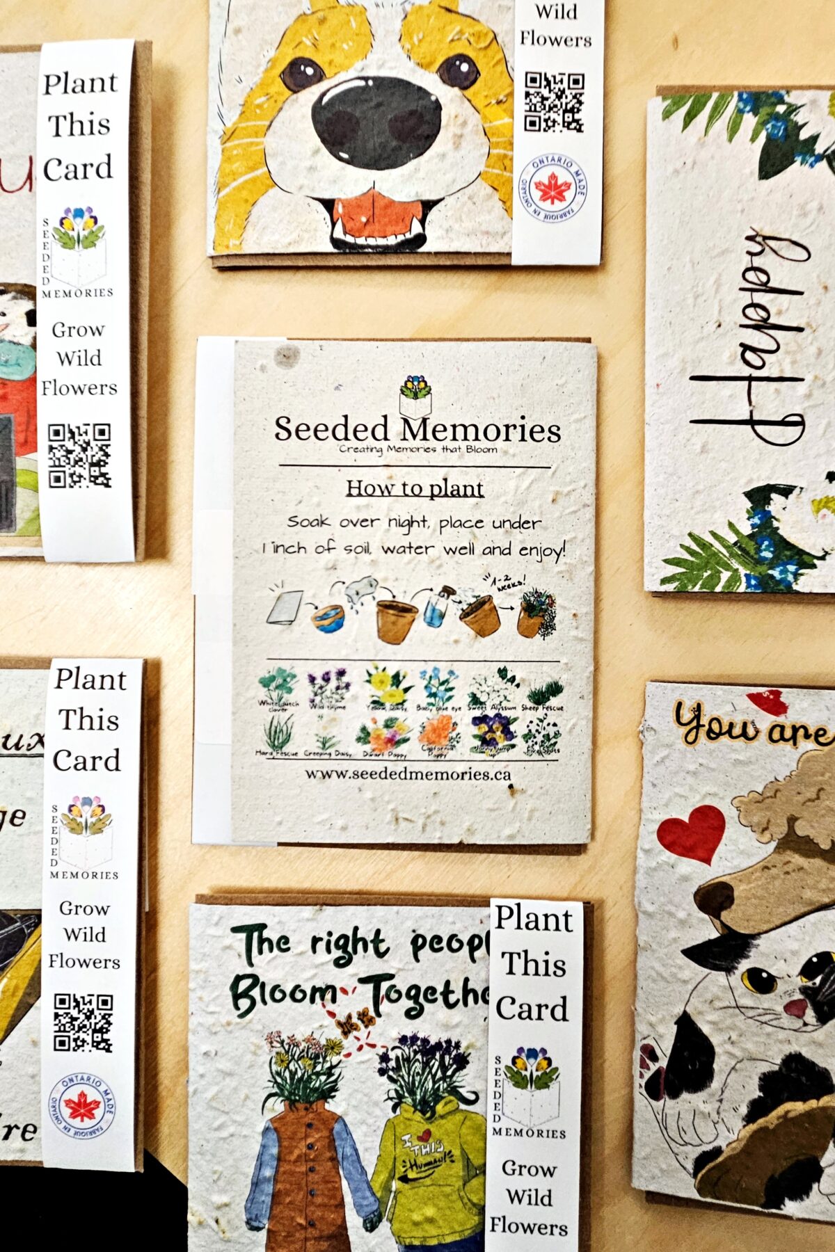 Seeded Memories