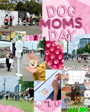 Dog Moms Market