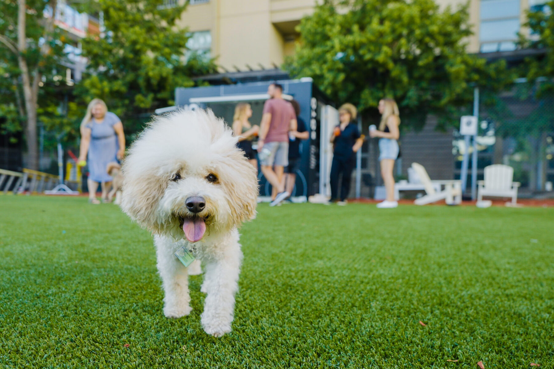 Yappy Hour