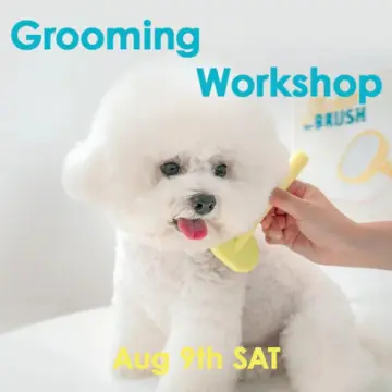 Pet Grooming Workshop