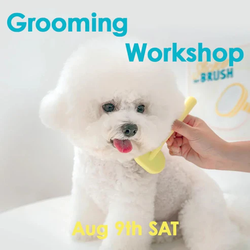 Pet Grooming Workshop