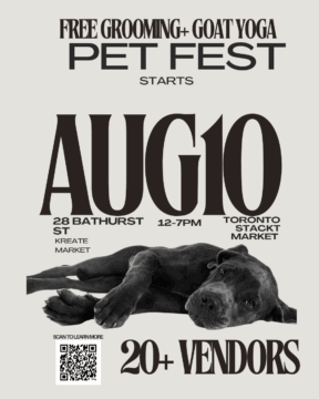 Pet Fest