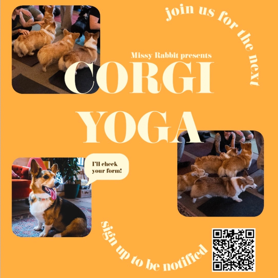 Corgi Yoga