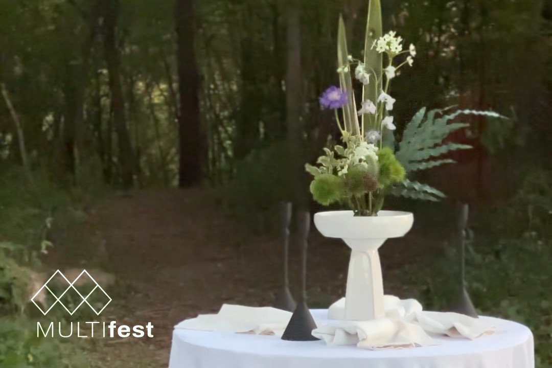 MULTIfest Live AV Performances