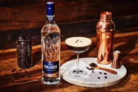 THE WINTER RETREAT BY FINLANDIA VODKA